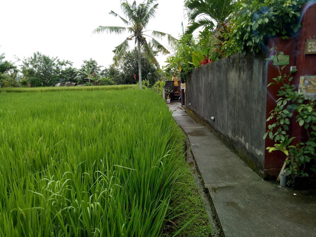 Villa Esa Ubud المظهر الخارجي الصورة